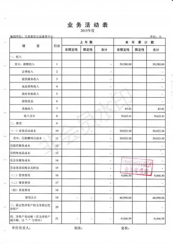 新星公益2015年度财务审计报告_07.jpg
