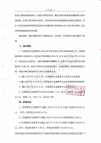 新星公益2015年度财务审计报告_04.jpg