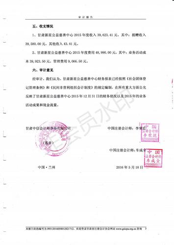新星公益2015年度财务审计报告_05.jpg