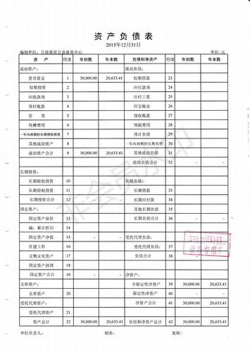 新星公益2015年度财务审计报告_06.jpg