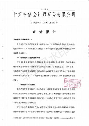 新星公益2015年度财务审计报告_03.jpg