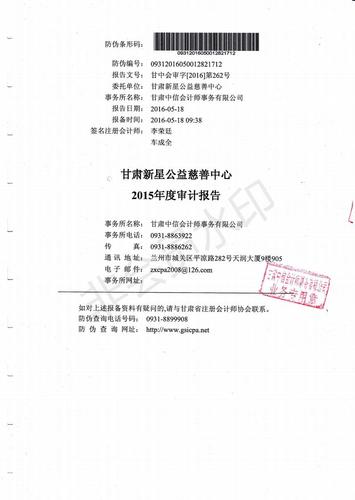 新星公益2015年度财务审计报告_00.jpg