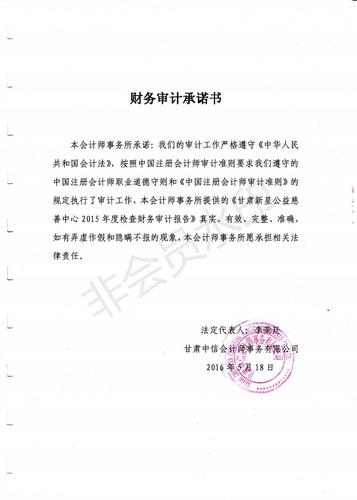 新星公益2015年度财务审计报告_02.jpg