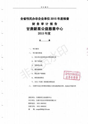 新星公益2015年度财务审计报告_01.jpg