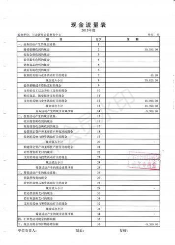 新星公益2015年度财务审计报告_08.jpg