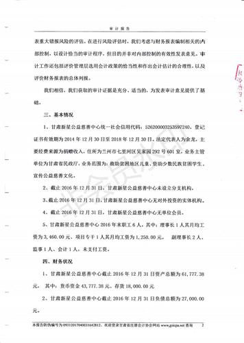 2016年度财务审计报告_03.jpg
